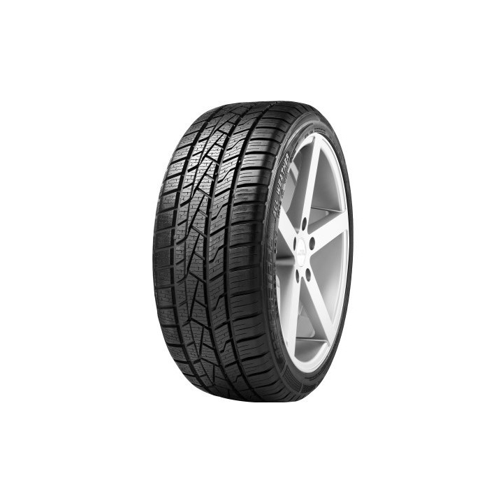 DUNLOP WINTER XL 205/55 R17 95V XL