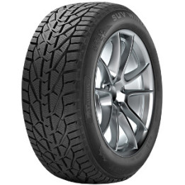 FORTUNE PERFECTUS FSR-602 205/65 R16 95H