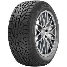 COLLINS WINTER EXTREMA C2 215/65 R16 109R