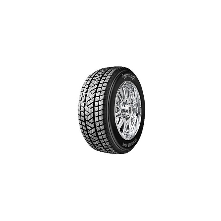 FORTUNE Nivalis Winter Pro XL 225/55 R19 103V XL