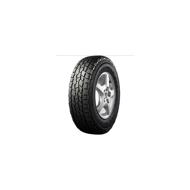 NEOLIN NEOLAND C570 225/55 R18 98V