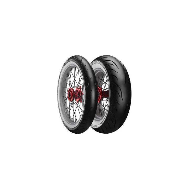 ROADX RX MOTION 4S XL 205/55 R16 94V XL