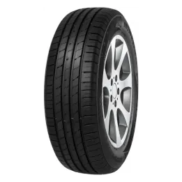 MINERVA ECOSPEED 2 SUV 315/35 R21 111Y XL