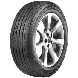 NANKANG AS-2+ 225/50 R17 98Y XL