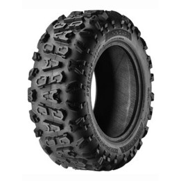 MINERVA RADIAL F205 XL 225/55 R17 101W XL