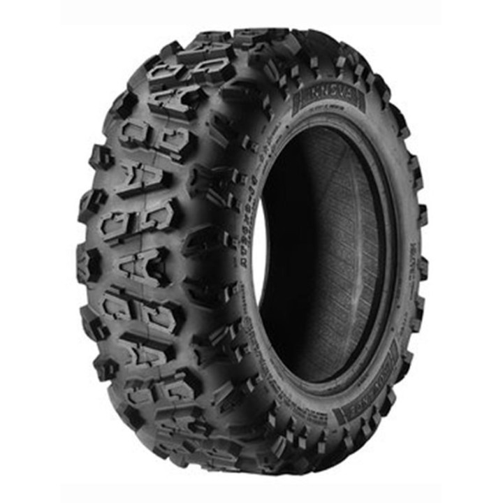 MINERVA RADIAL F205 XL 225/55 R17 101W XL