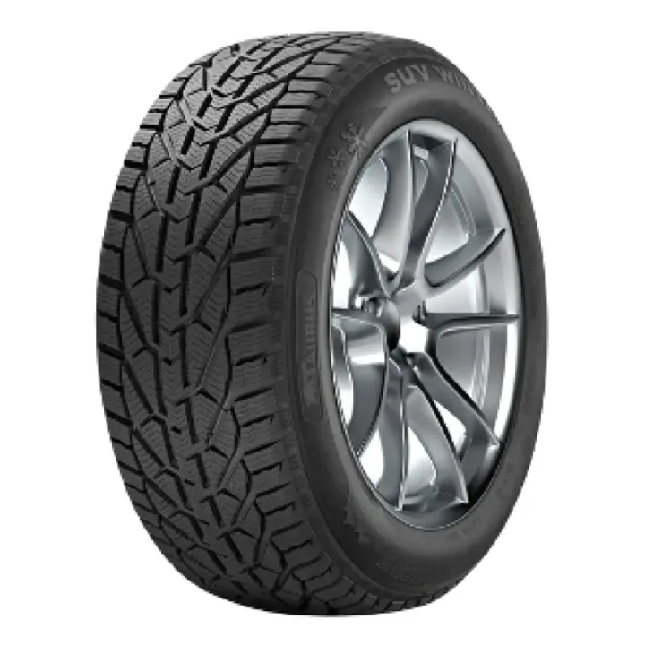 TAURUS SUV WINTER 255/50 R19 107V XL