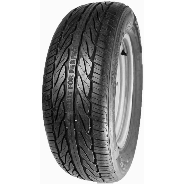 DELINTE WINTER WD6 M+S 3PMSF 225/55 R17 97H