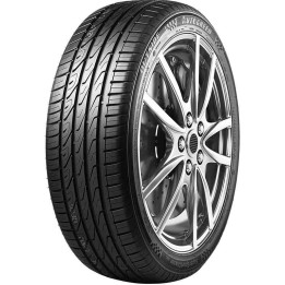 DELINTE WINTER WD6 XL M+S 3PMSF 205/50 R17 93H XL